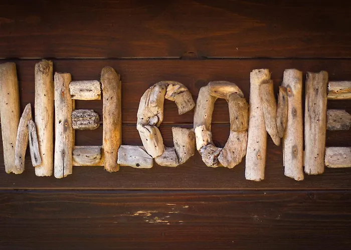 Zenith Hostel-la Surf House