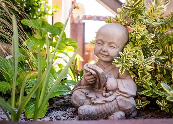 Zenith Hostel-la Surf House ホステル *