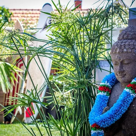 旅馆 Zenith Hostel-la Surf House
