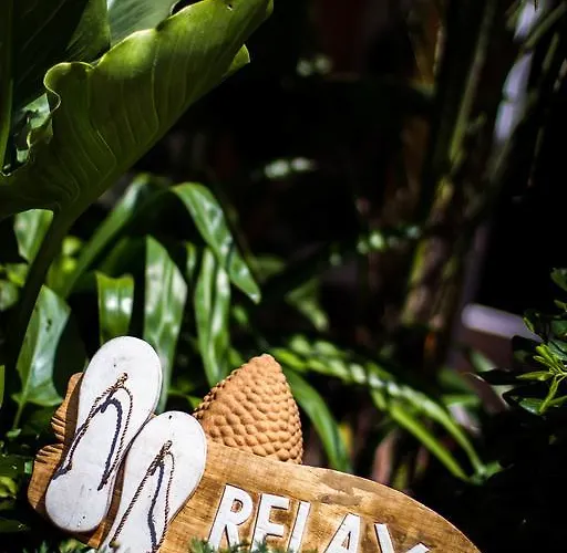 Zenith Hostel-la Surf House