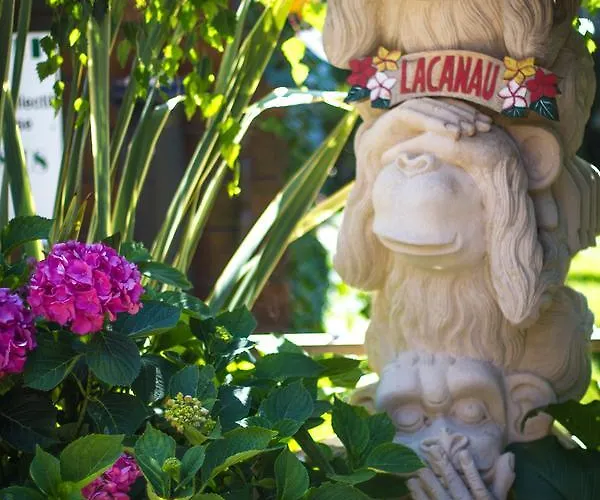 Zenith Hostel-la Surf House * Lacanau